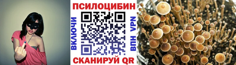 где можно купить наркотик  Петрозаводск  Галлюциногенные грибы мицелий 